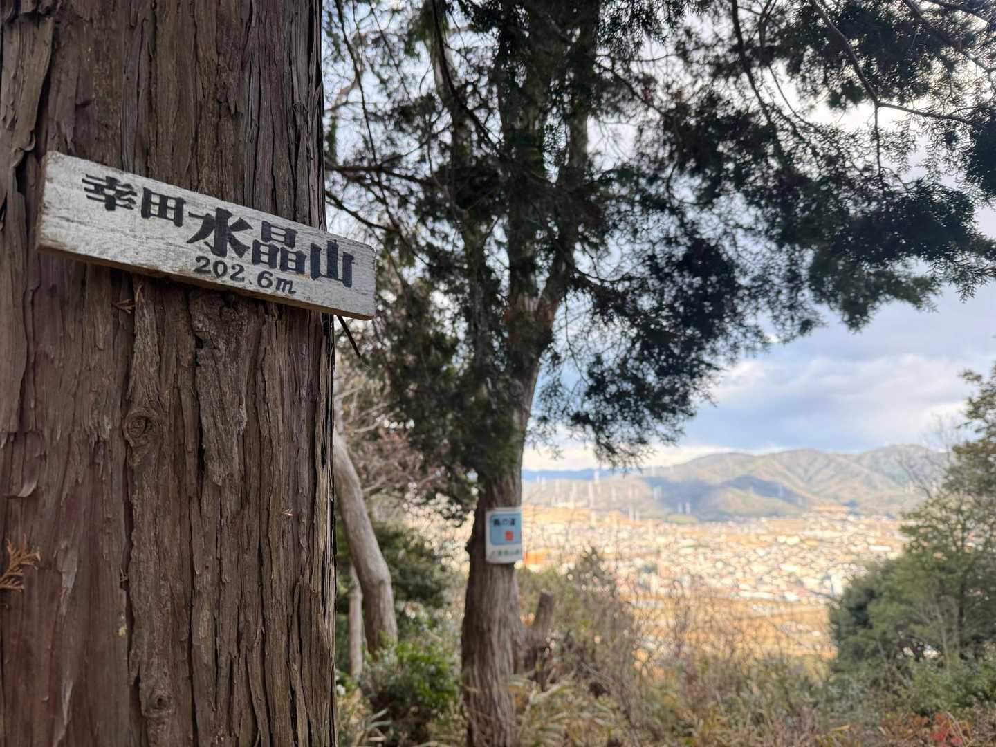 水晶山| ᐕ)っ🚩