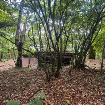 小屋の残骸
