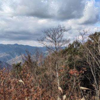 山頂からの景色３。