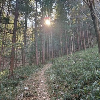 ここは緑も多く、火事の影響は無いのかな？