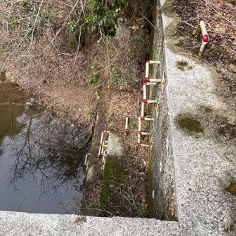六甲山・長峰山・摩耶山 ホチキス登ってホチキス降りる