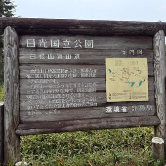 移動中、関越自動車道も前橋付近は強い雨が降り、ロマンチック街道を走行中は道路が見えないほどのガスが湧き、霧雨まで降っていた。こんな天気と暗闇の中でふと思い出した過去での話、女子高生は見えなかったけど、やたらと鹿が道路に飛び出し、ある意味怖さを感じてしまいました。
そんな天候でも登山口の菅沼有料駐車場に着くと雨も止み、今日1日が曇り空予報の中を歩き出して行く。