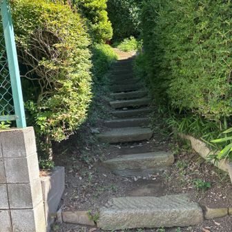 こちらから降りてきました