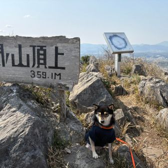 関の山 山頂（359.1m）到着。