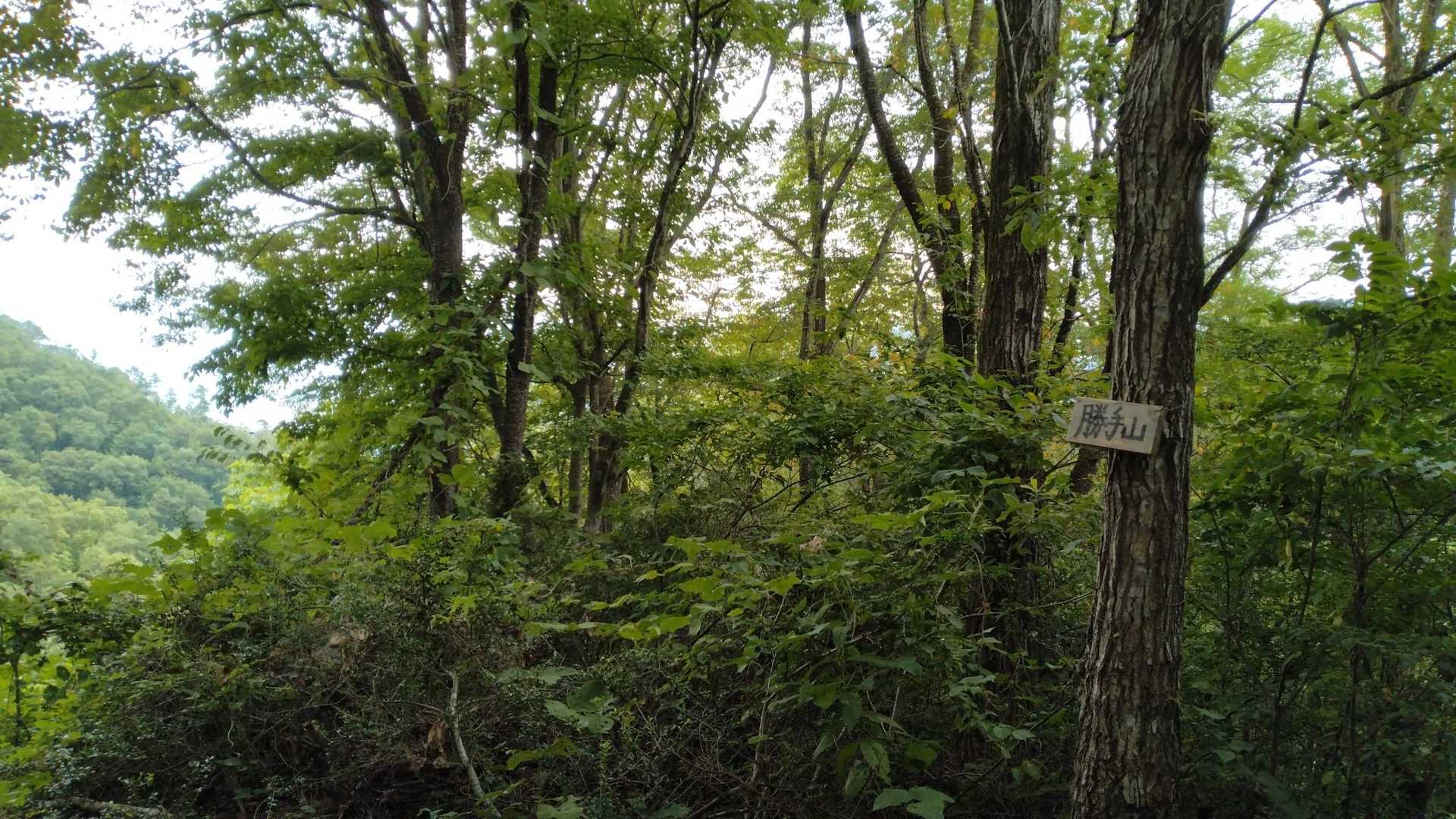 ？？勝手山
ナンの情報もなくピークに到達✌️