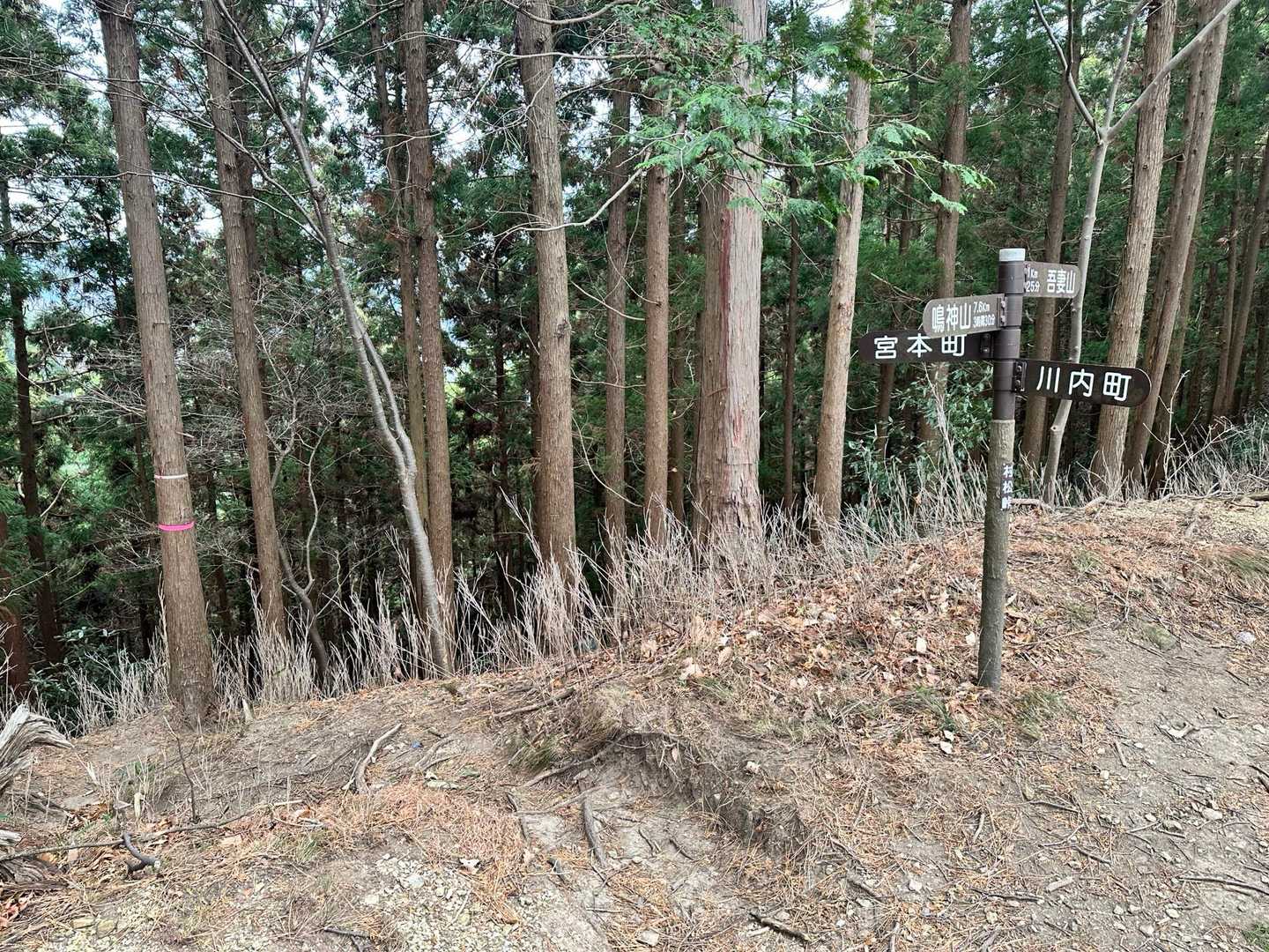 ここから下っていく人がいました！
今度行ってみようかな...🤔