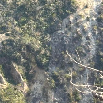 7人の劇下りの無事を確認してウチラも下山