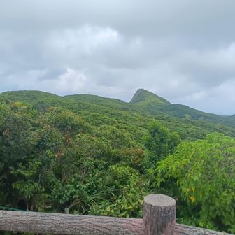 展望台から、登った岩を眺めて帰る