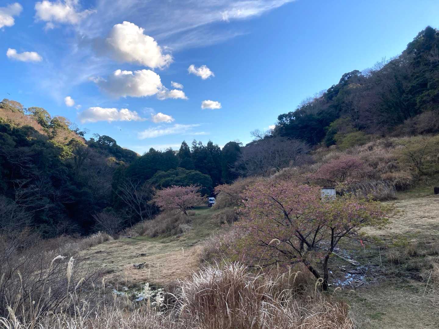 下りてきましたー
おつかれ山でした⛰️