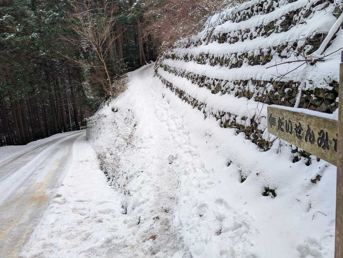 この辺りから段々ふわふわ雪へ❄