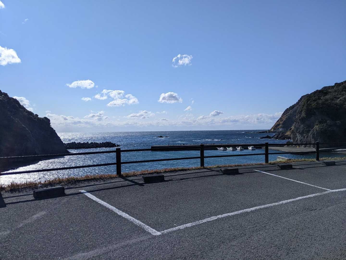 伊豆トロピカルトレイル（1day）の写真