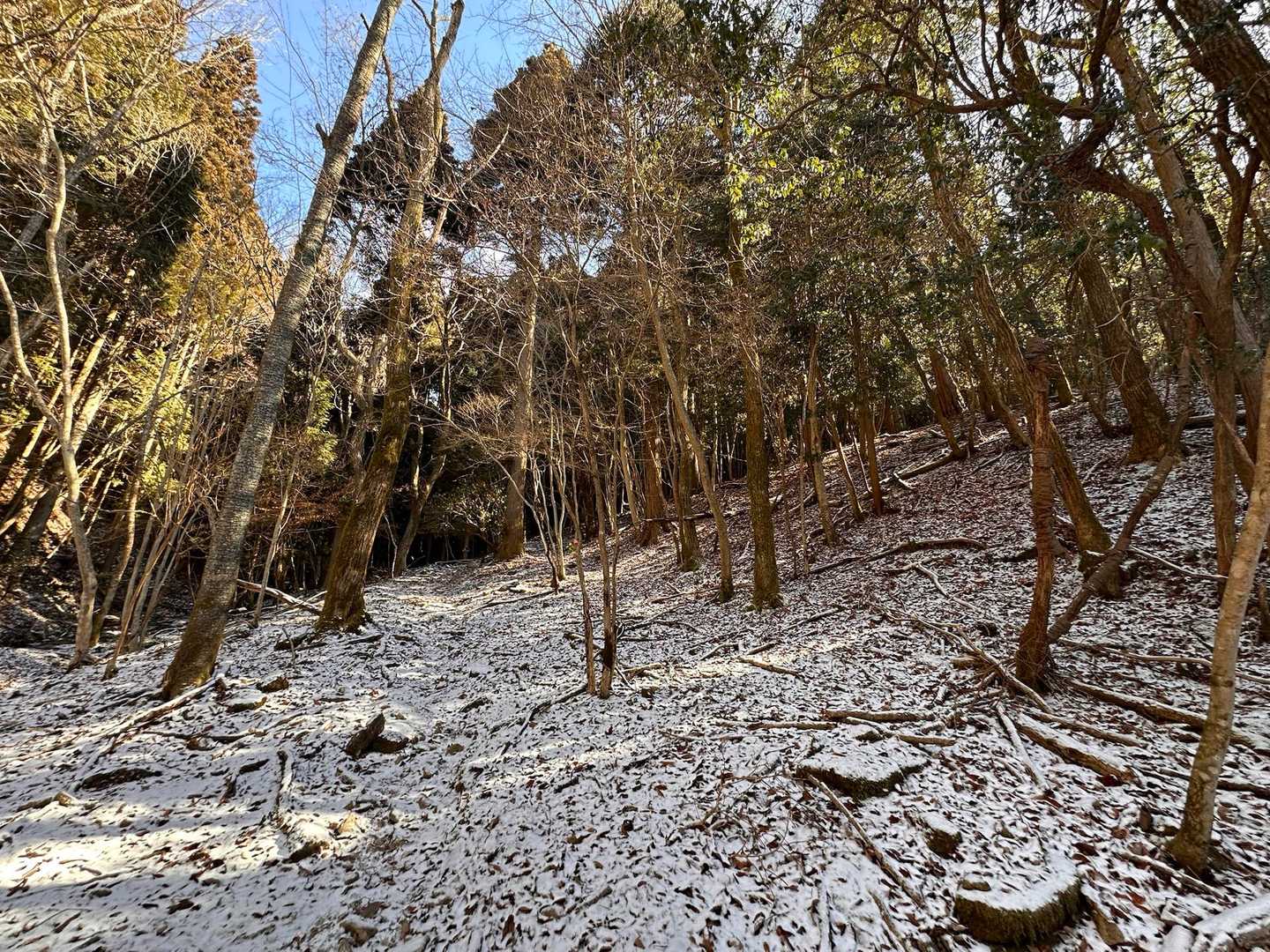 うっすら雪☃️