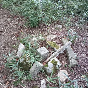 石楠花山山頂三角点にゃ
