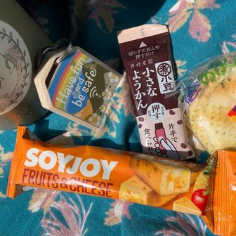 おっと、その前にエネルギーチャージ
今日はボトルに冷たいお茶も用意
気温も上がり難所で汗だくになったので
冷たい飲み物でクールダウン𓈒𓂂𓏸

ソロ行動なのでココヘリもしっかりと！
友人作の春らしいシールに張り替えて
気分もやる気も上がる𓂃❁⃘*.ﾟ