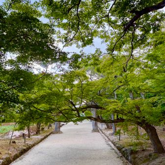 竈門神社に到着⛩️

楽しい出会いの宝満山✨
山に感謝⛰️