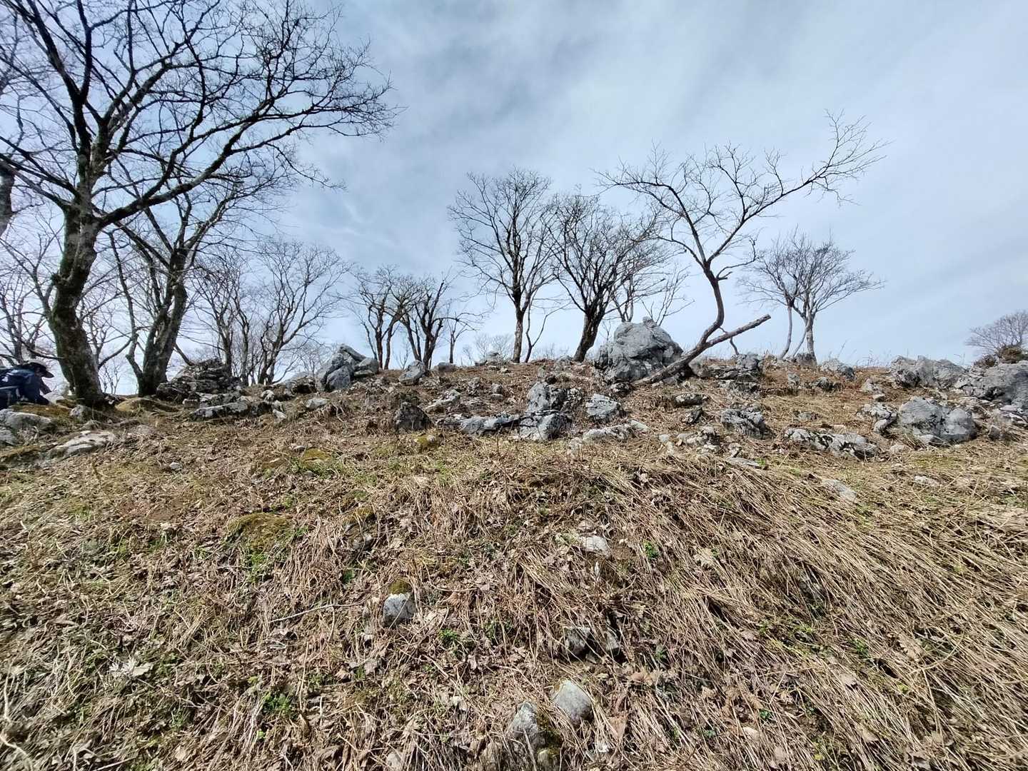 聖宝寺-藤原岳-藤原岳登山口 縦走コースの写真