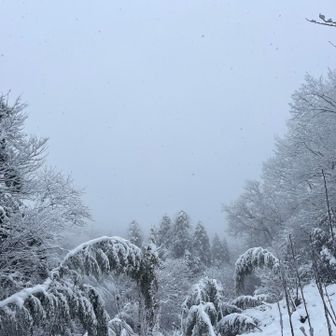 のぞみの丘から視界なし