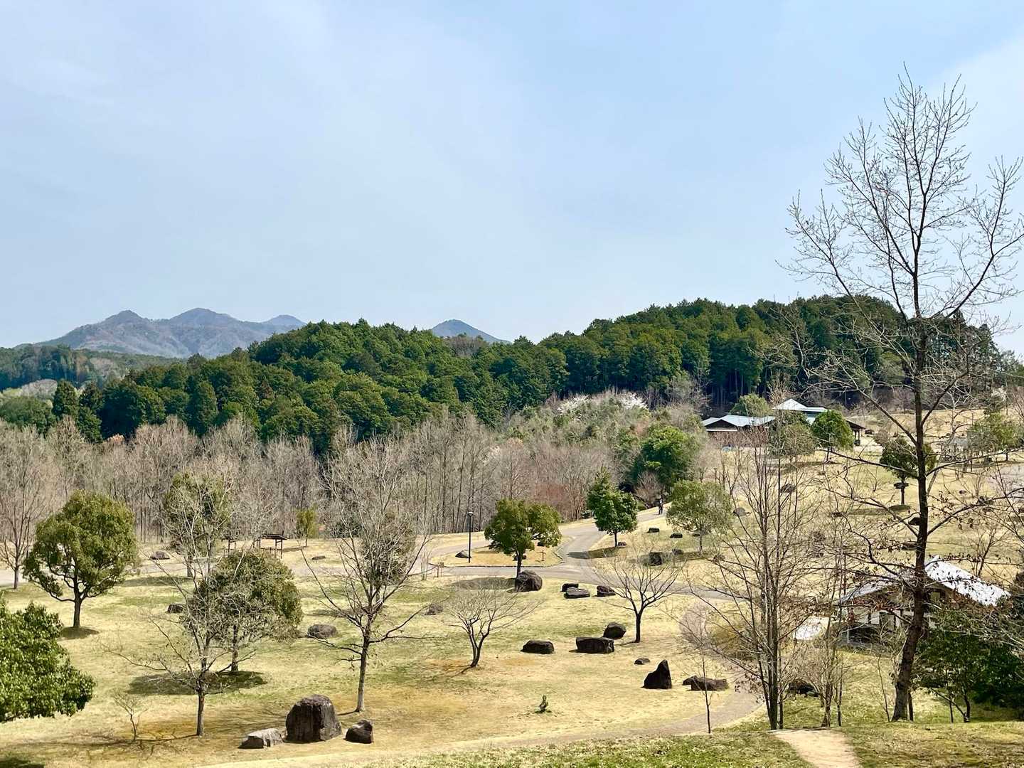 見晴らしベンチより見た公園
公園内の石🪨は公園を作る時に出て来た石を綺麗に配置してあるそうだ
犬🐩を連れて散歩できる公園