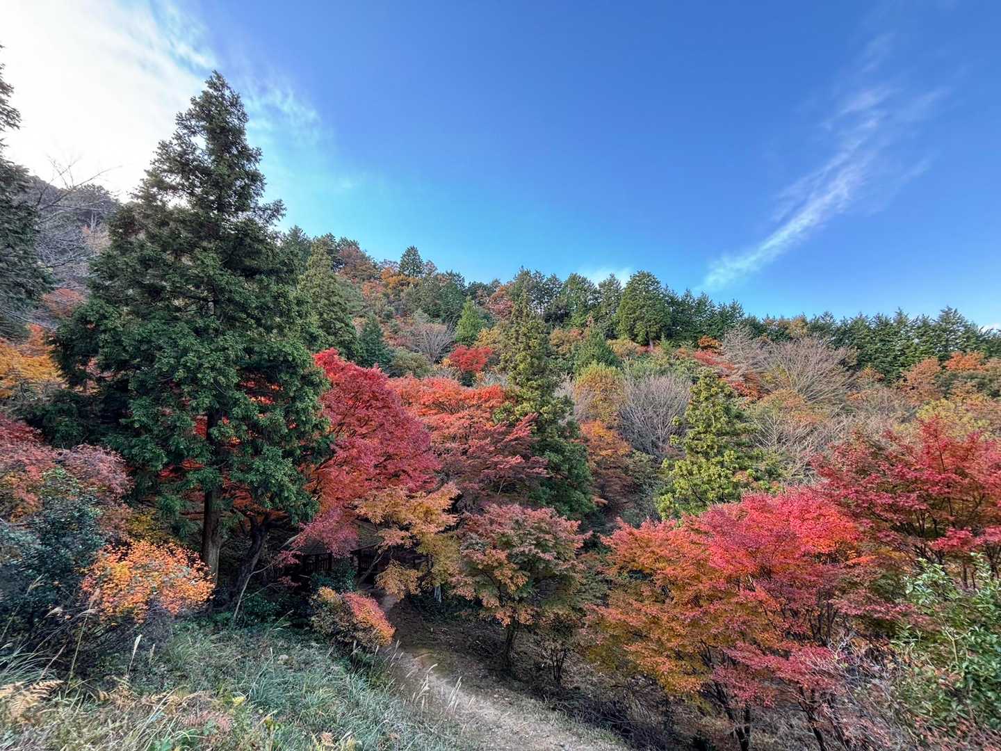 宮路山 往復コースの写真