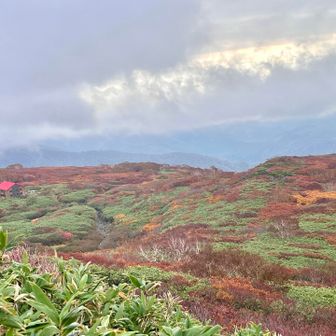 30分程歩いて
避難小屋と紅葉がなんともよい

紅葉に見惚れて何度もたちどまる
