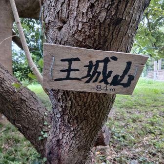 ついでにもうひとつだけ！　ブロッケン山の蒸気機関車のようにとぐろを巻いて登り　王城山