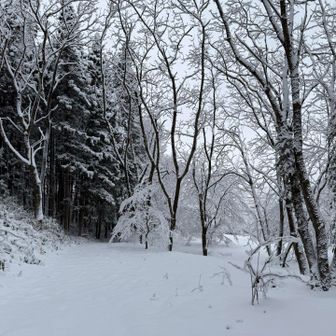 ココがちょっと積雪上がった🤏