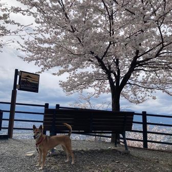 まち