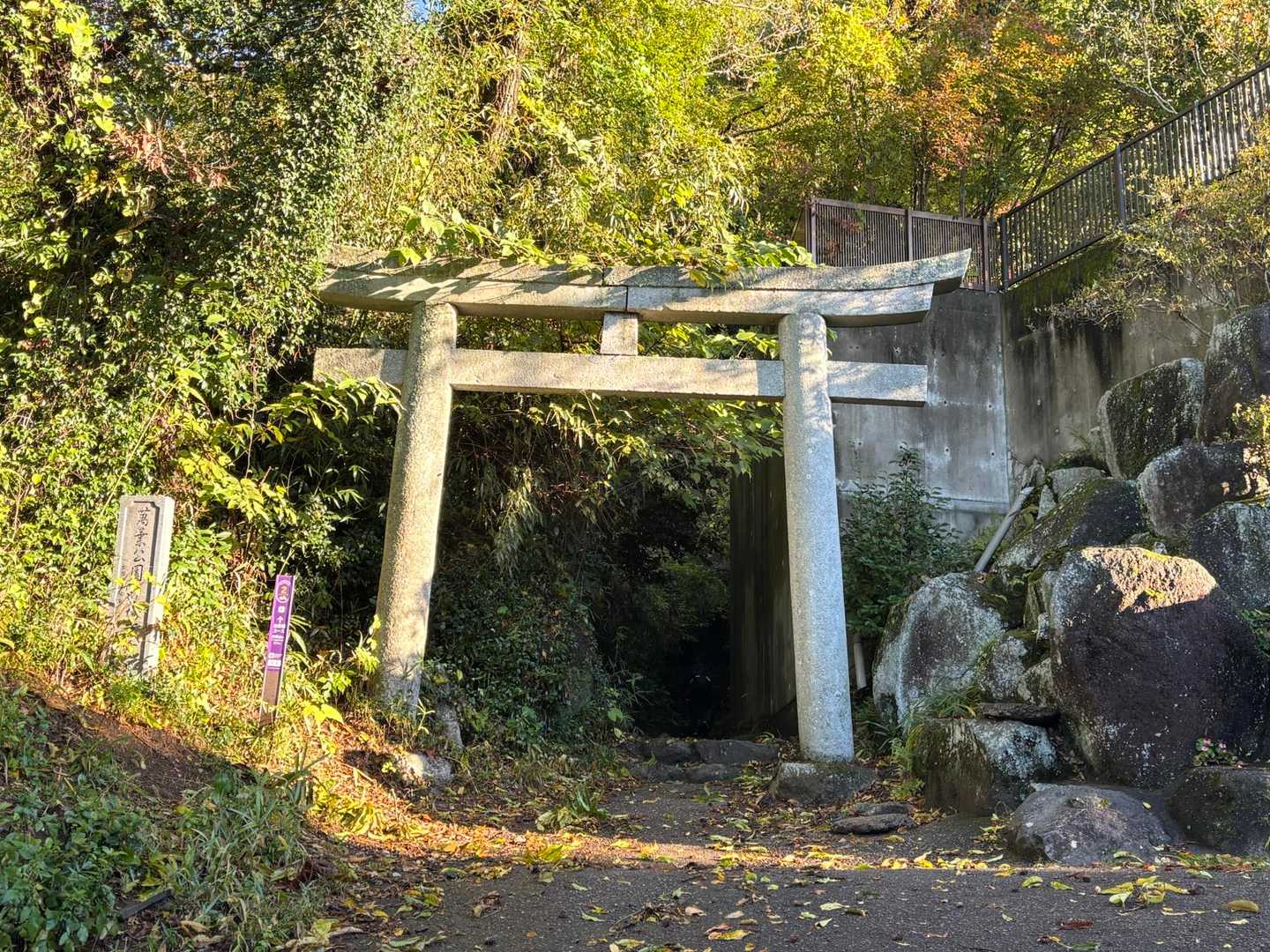 白雲橋コースでスタート🚶‍♂️