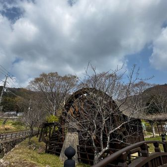 雲が増えてきましたが、
まだまだ人が集まってきます。
憩いのお山ですね。