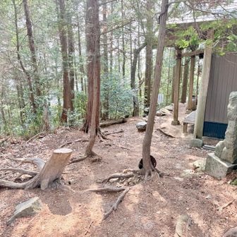 なぜか…

休憩なしで
来てしまった💧