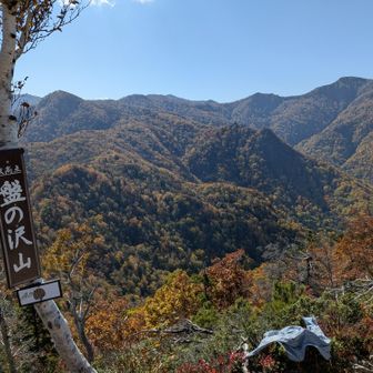 今日は、何処に行っても最高ですね