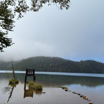 大沼池まで来て一休み。おにぎりモグモグ🍙
志賀山は雲の中です。外国人が「サイコーですね」と言っていました。