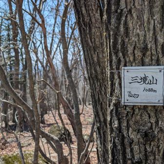 三境山に到着😅💦