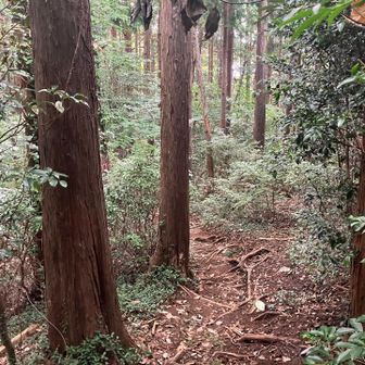 下山は正規ルートから