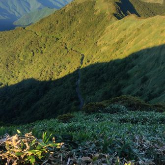 東黒森・自念子ノ頭、後方に岩黒山・筒上山・手箱山