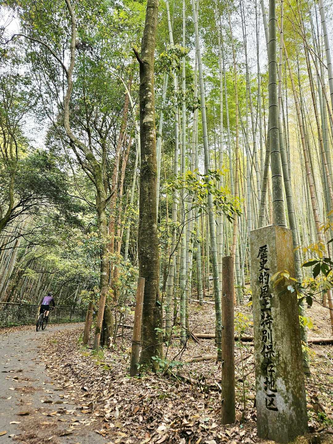 歴史的風土特別保護地区