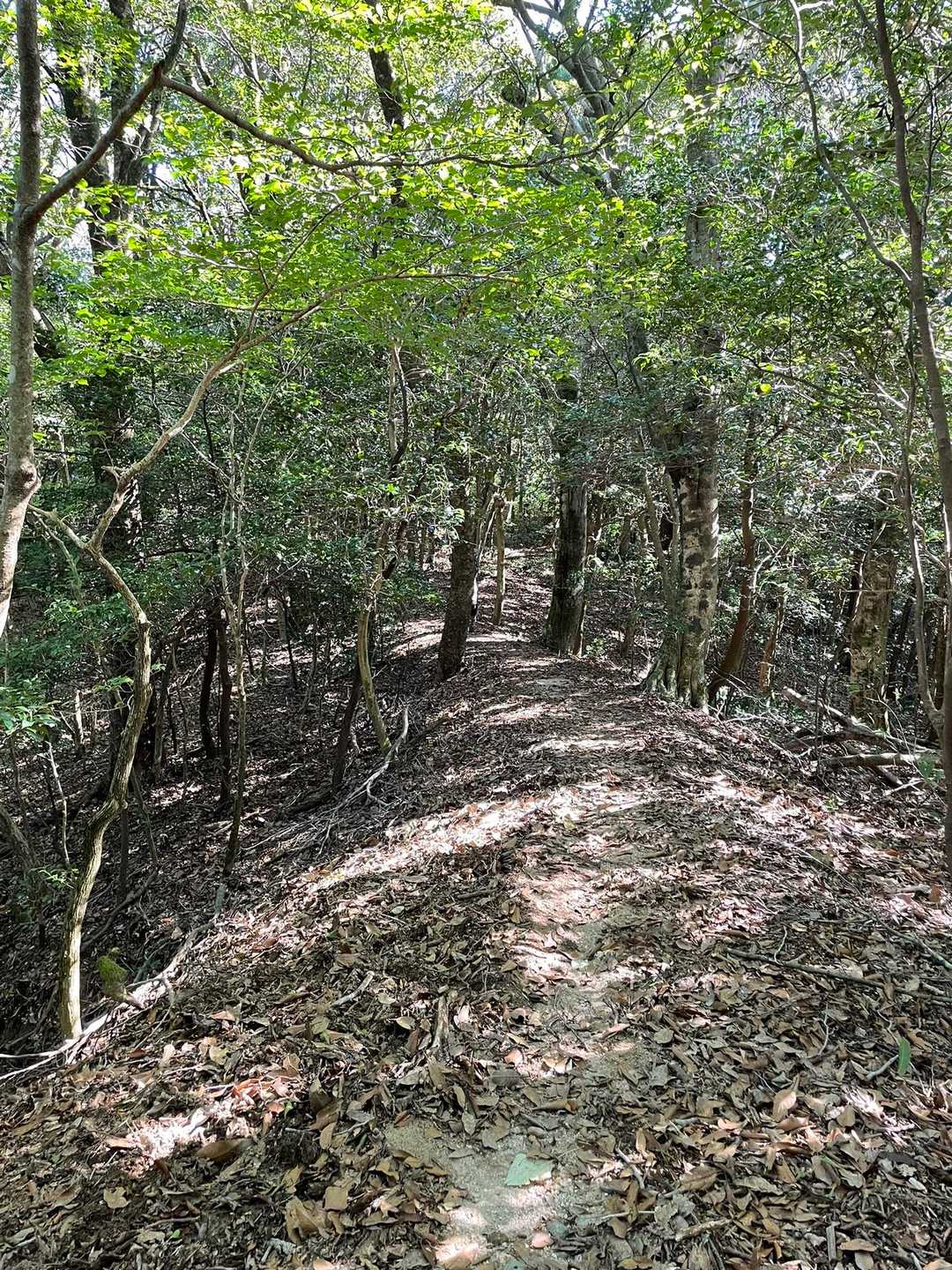 九千部山へ向かいます🚶‍♂️🚶‍♀️