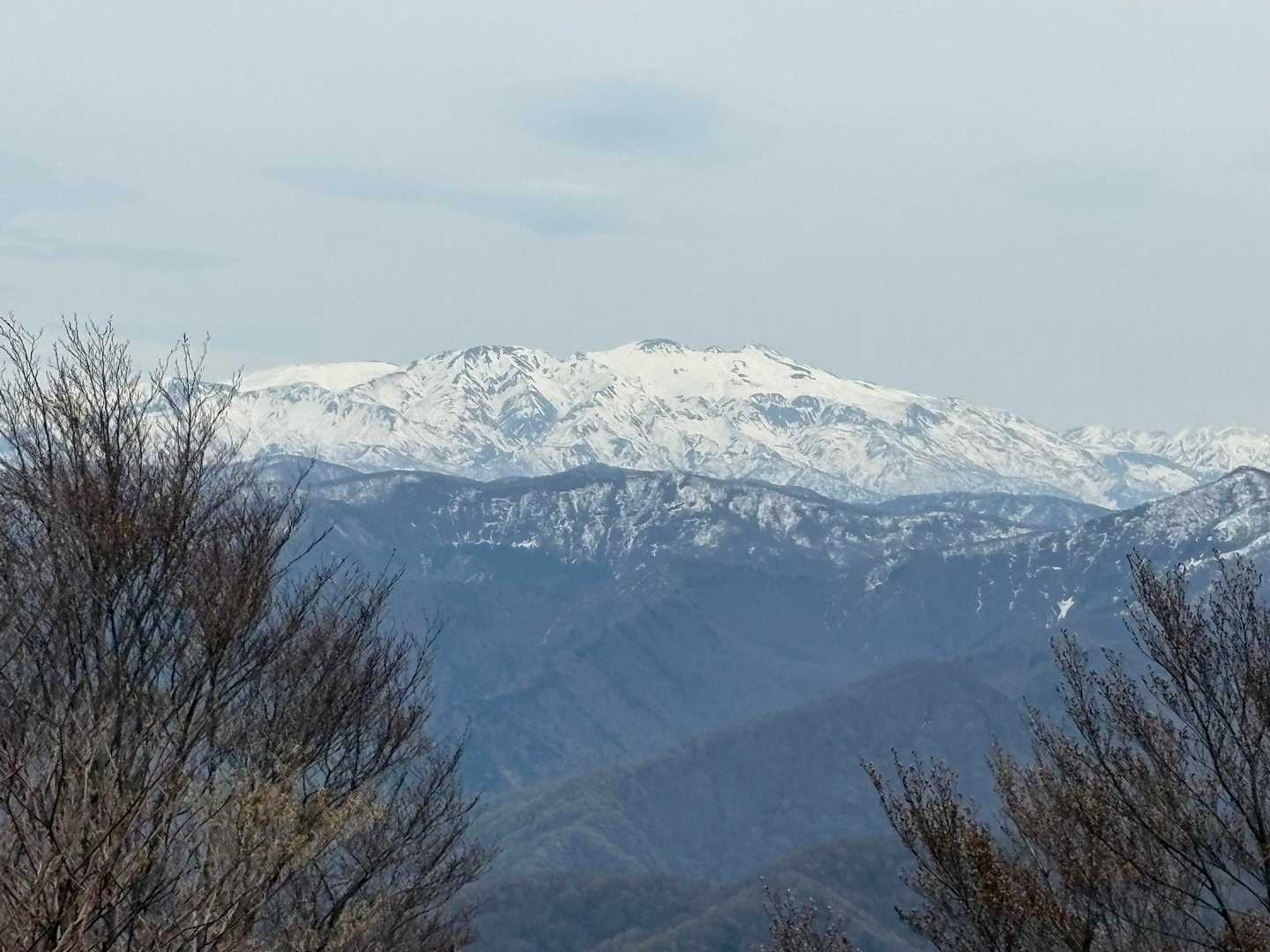 うひゃ〜　先に大御所が‼️
期待してなかったのに　嬉しい誤算😃