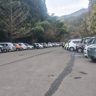 朝の10時、平日でも満車です。