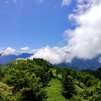 御池山の山頂