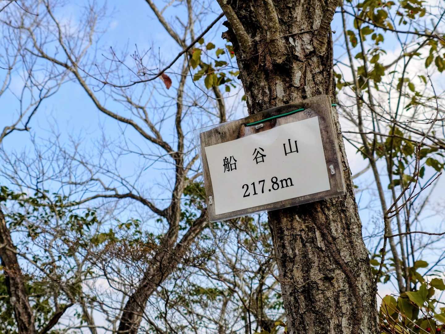 あっと言う間に

4座目船谷山登頂🚩