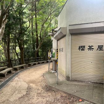 順調