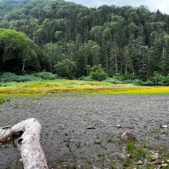 水晶池に水がない