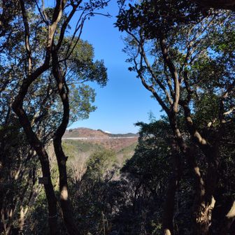 宝永の大地震で５m隆起した為
島だった弁天島が陸地になってしまったお話や、普門寺の謂れ
→観音経を普門本と称する
→観音寺/普門寺の御本尊は観音様

など、無学な私にお教えくださり
誠にありがとうございました🙏

↑高木住職のオススメの
千手峯から富士山を眺める👀