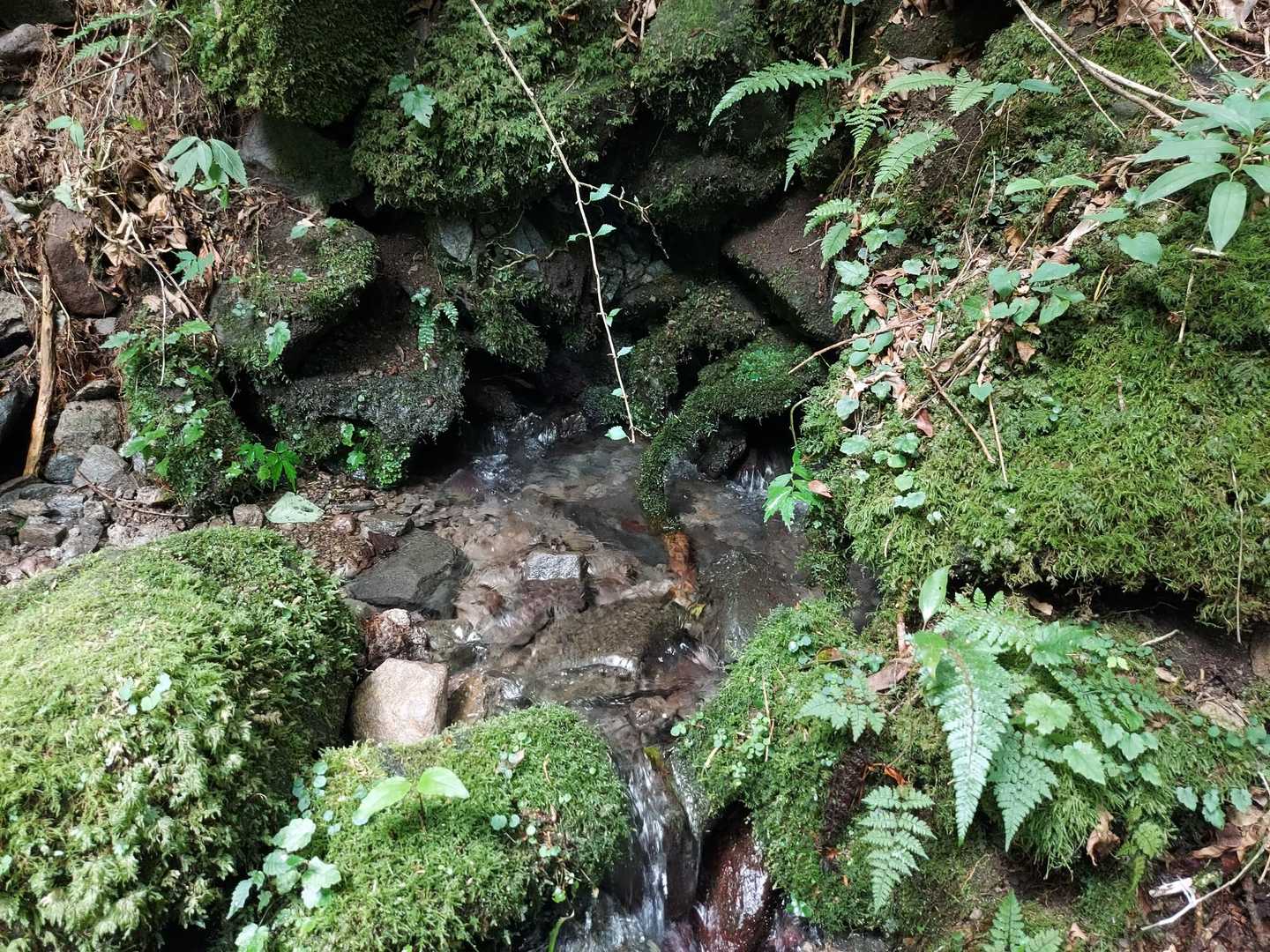 湧水源流
