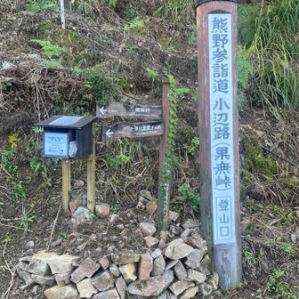 ここから峠へ