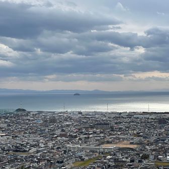海🌊がキラキラ