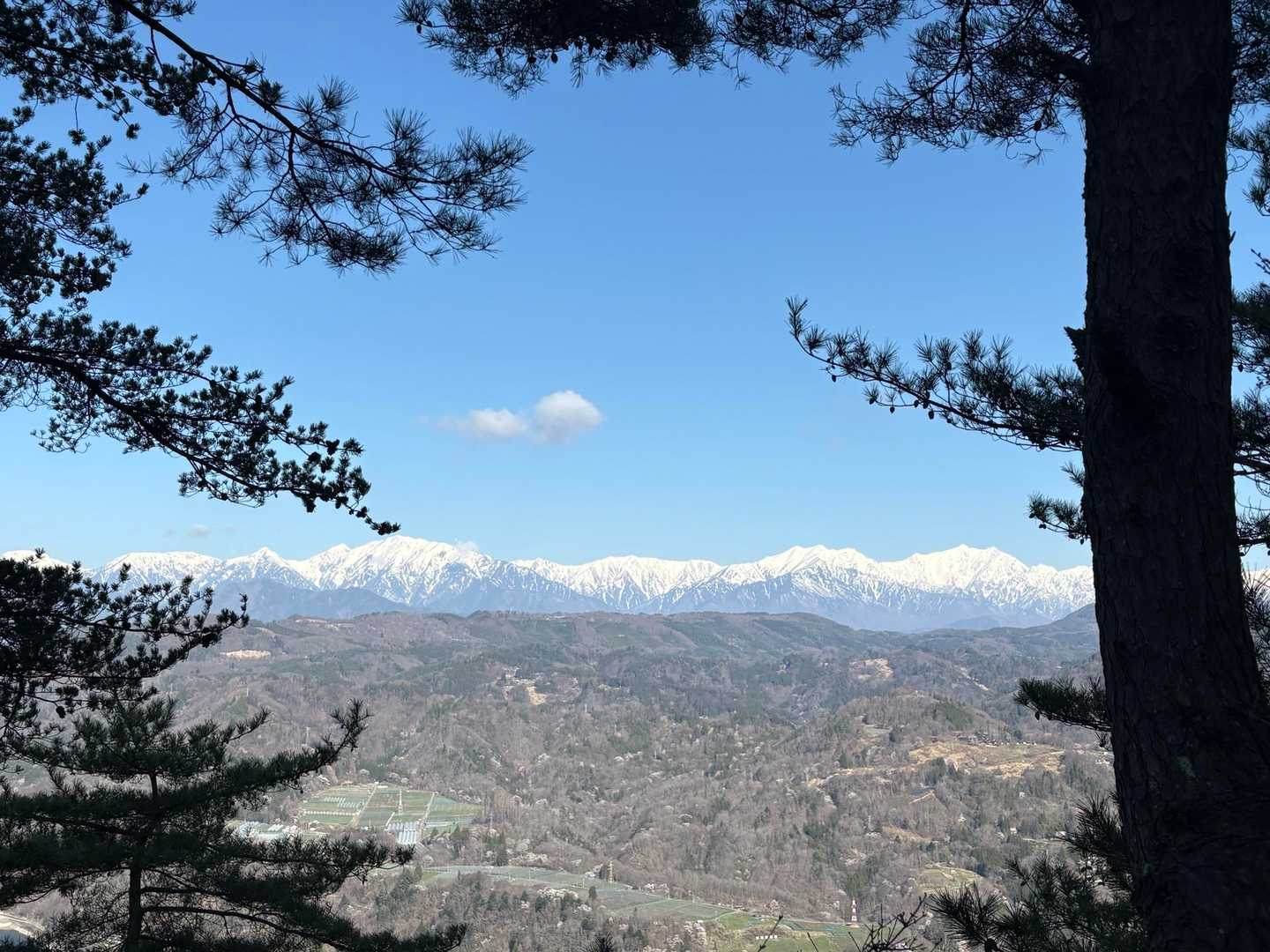 素晴らしい