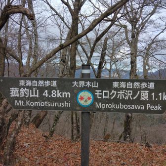 大界木山🙋ヨシ