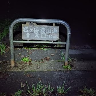 ルートは２つあります。
建物の裏手から入るルートと、このまま舗装路を進むルート、どちらも途中で合流します。
私達は舗装路を進むルートから🚶